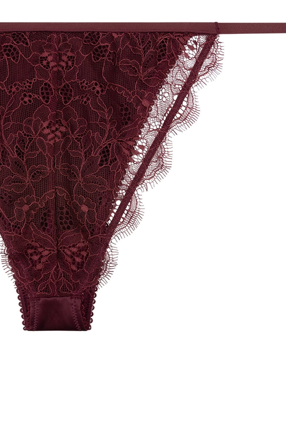 Charlotte Brief