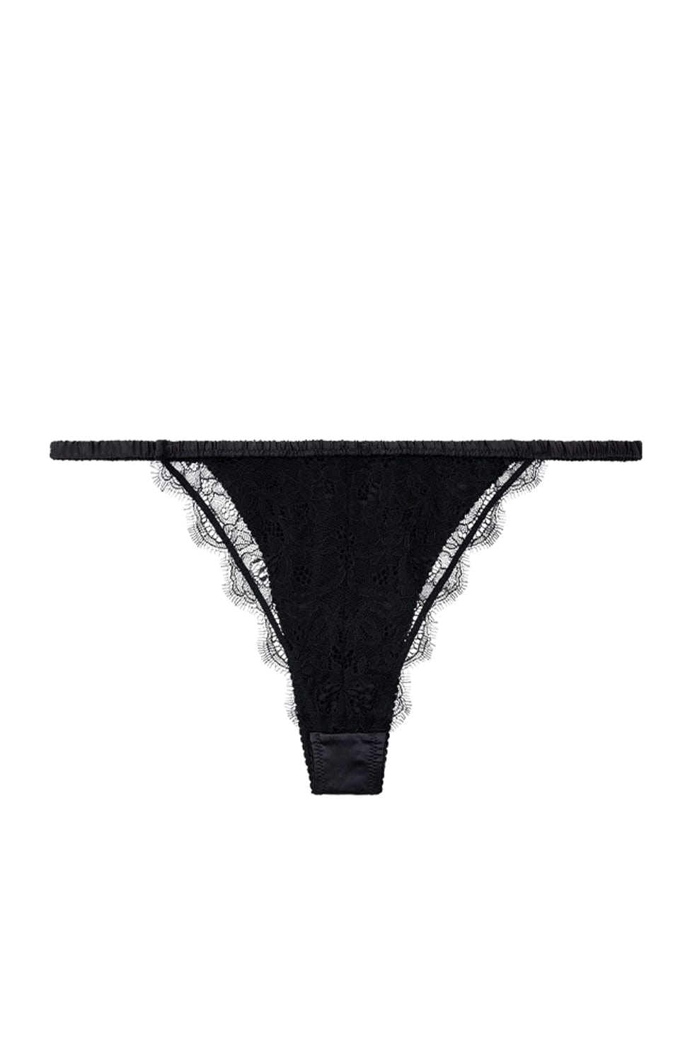 Charlotte Brief