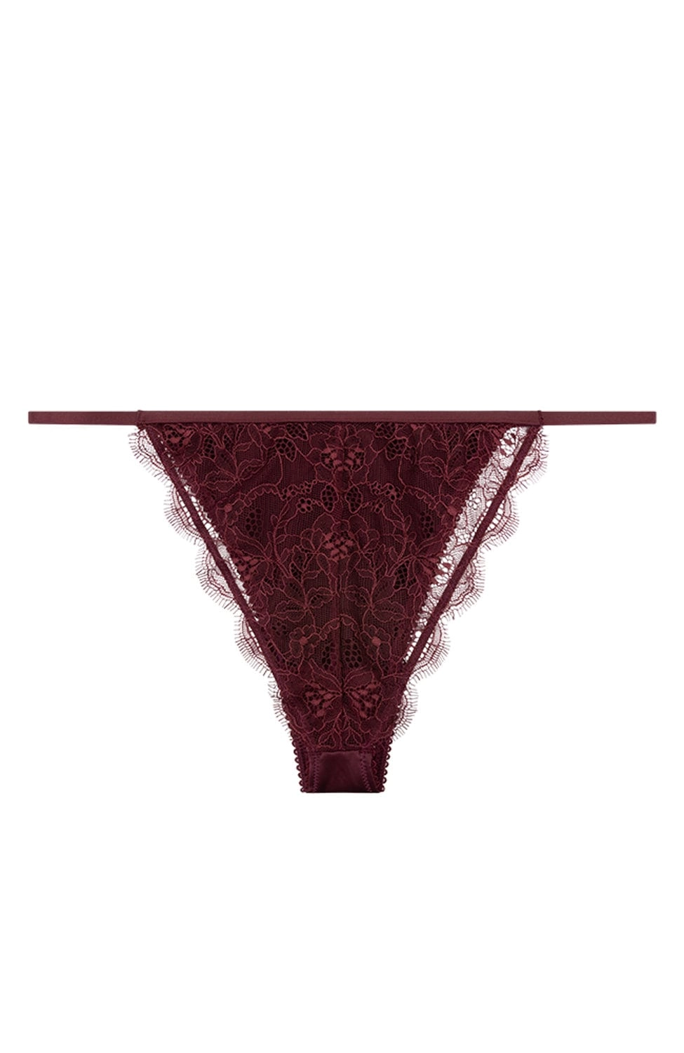 Charlotte Brief