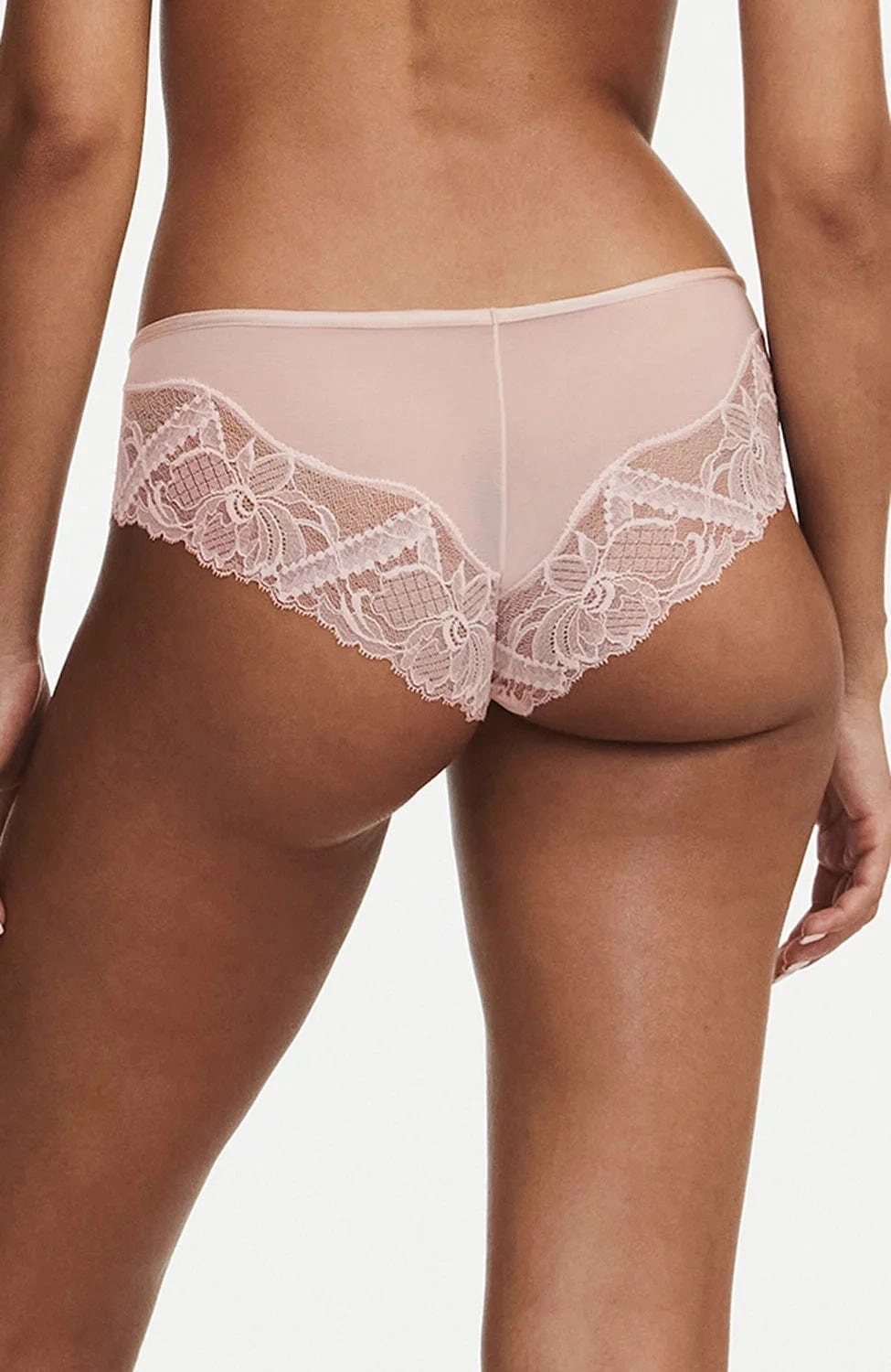 Orangerie Dream Brief